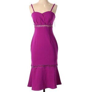 **CLOSET CLEAROUT** 
 Foxiedox Magenta Iris Lace Inset Fit and Flare Midi Dress